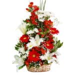 Encanto da Primavera