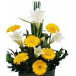 Arranjo Prosperidade