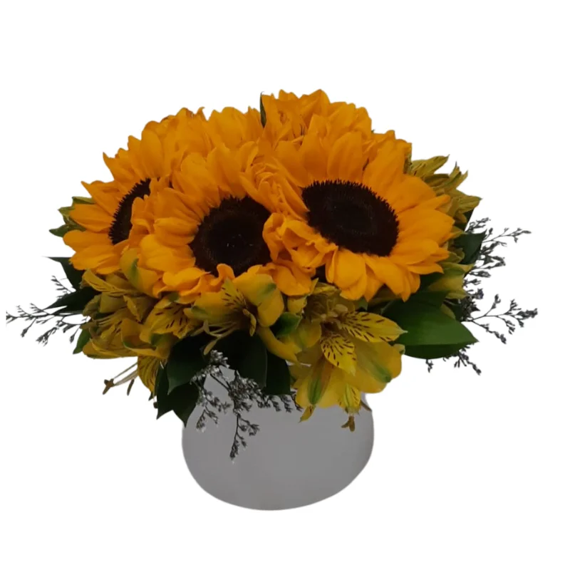  Girassóis no Cachepot Luz do Sol