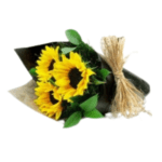 Trio de Girassóis