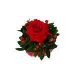 Rosa Colombiana na Cestinha