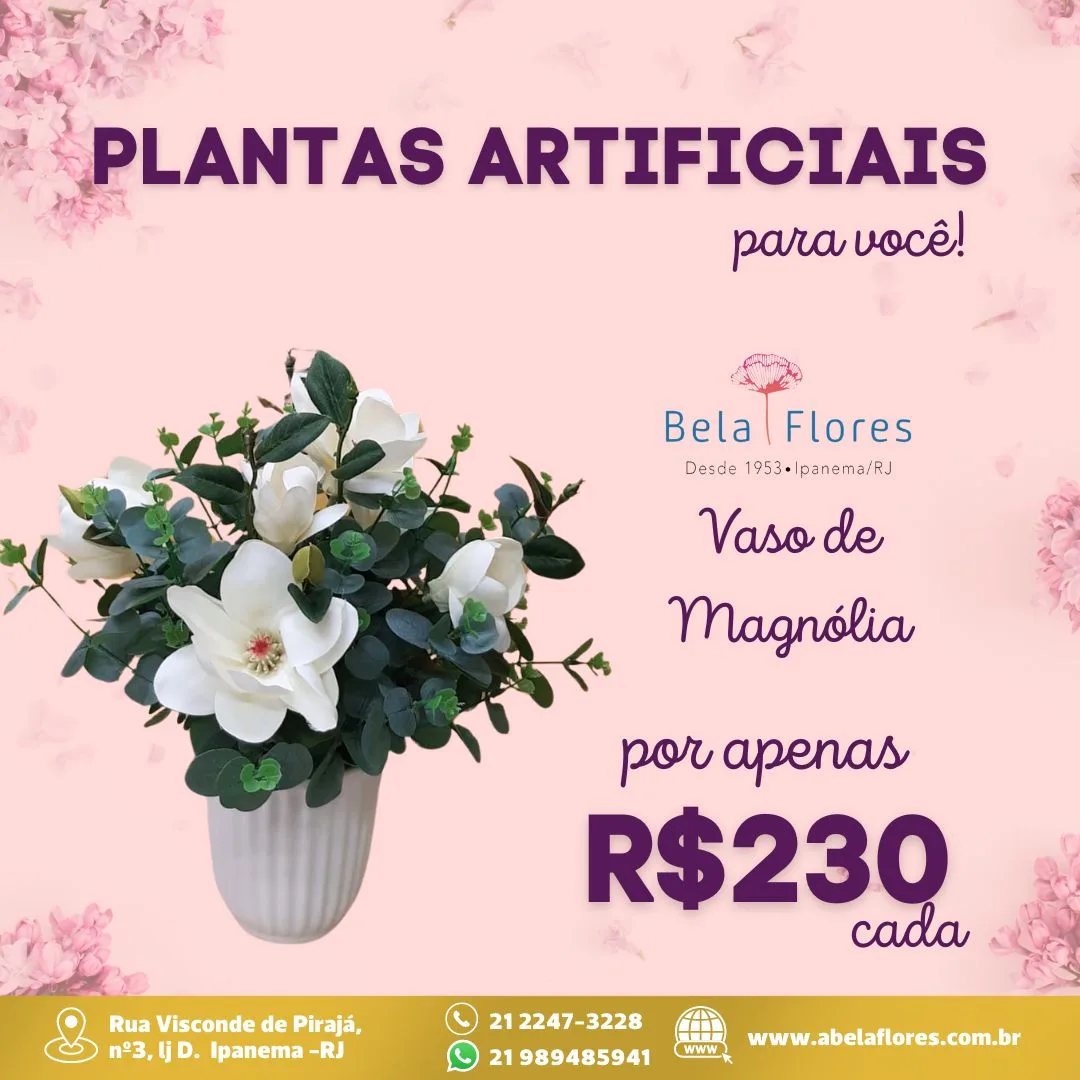 Imagem do WhatsApp de 2024-07-22 à(s) 13.31.03_b34bf7e0